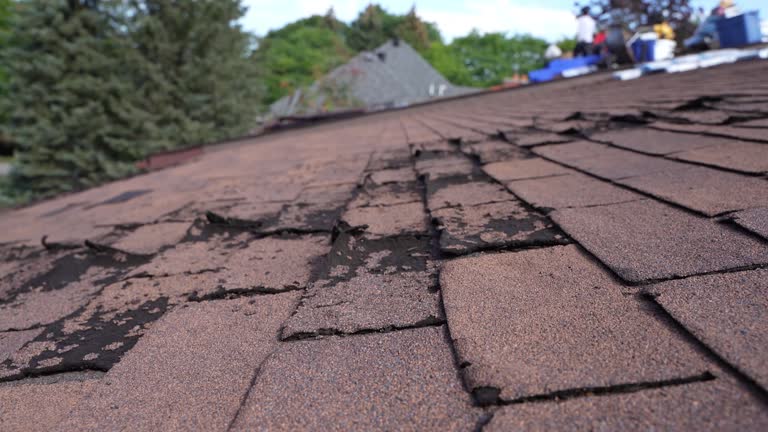 Best Green or Eco-Friendly Roofing Solutions  in Dobson, NC