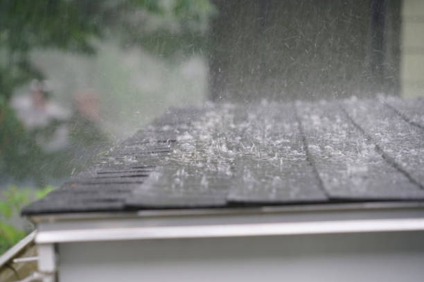 Best Asphalt Shingles Roofing  in Dobson, NC
