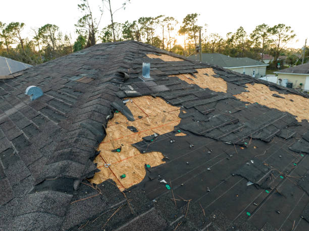 Best Roof Coating Services  in Dobson, NC