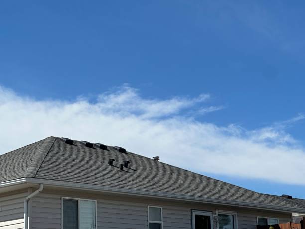 Best Solar Panel Roofing Installation  in Dobson, NC